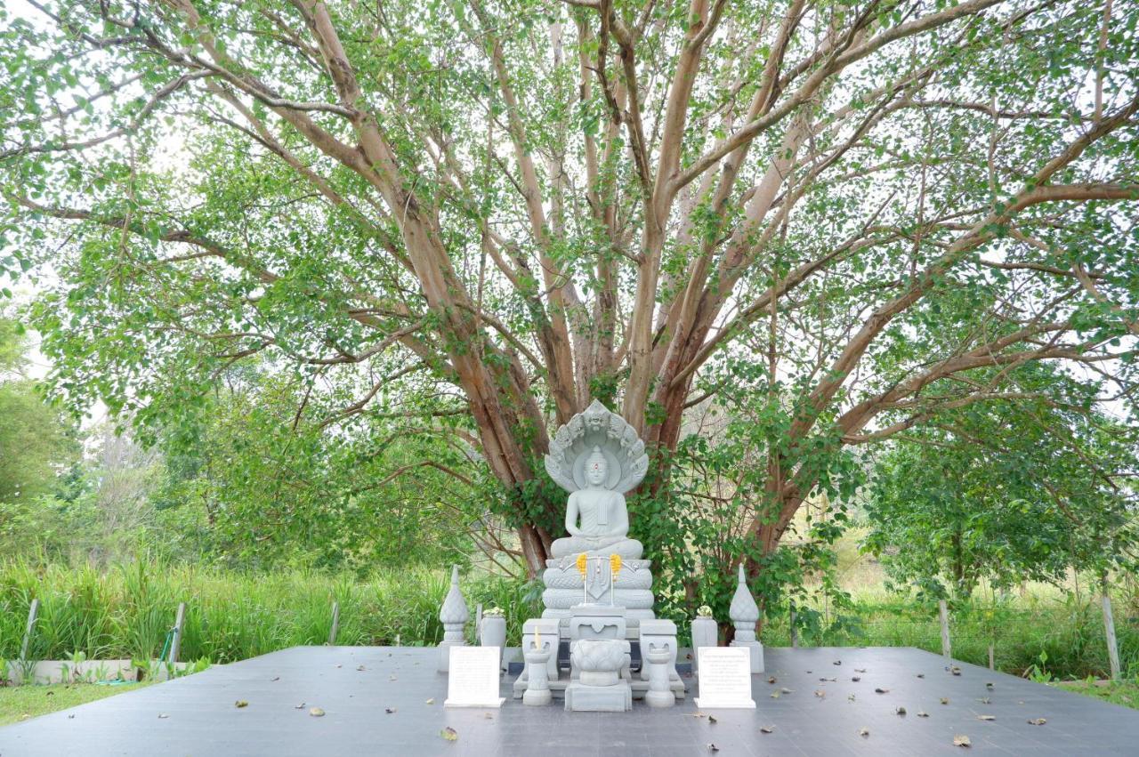 ทิพย์วาริน รีสอร์ท เขาใหญ่ Ban Tha Chang المظهر الخارجي الصورة